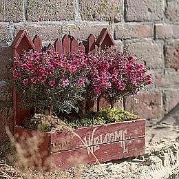 全职猎人格斗游戏首曝预告片亮相EVO Japan 2024